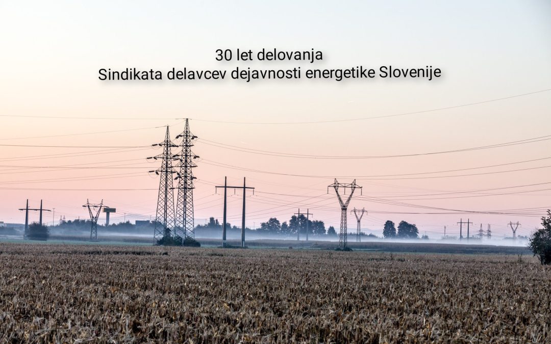 VIDEO – 30 let delovanja Sindikata delavcev dejavnosti energetike
